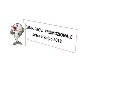 CAMPIONATO PROMOZIONALE AL COLPO 2018